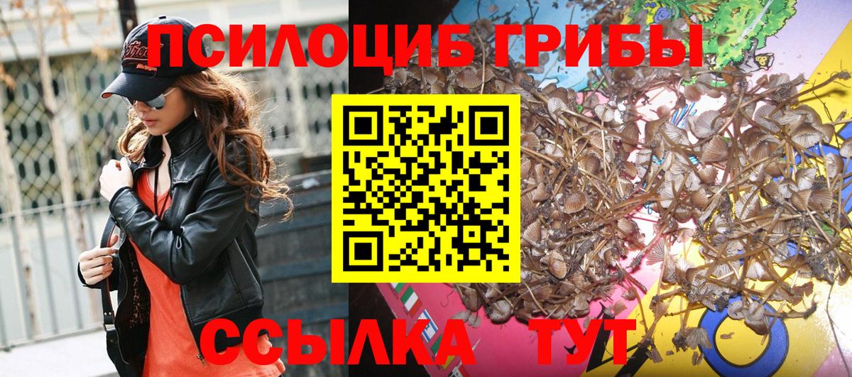 Ростов Великий  Псилоцибиновые грибы Cubensis  Вход с VPN 